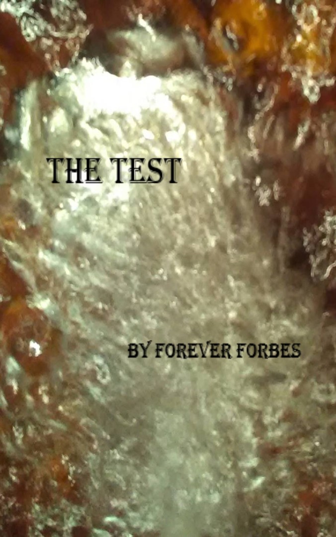 The test H2O cover